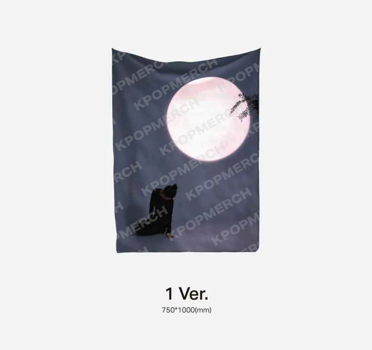 IRENE (RED VELVET) - '1. PAGE OF IRENE' MD - Image 16