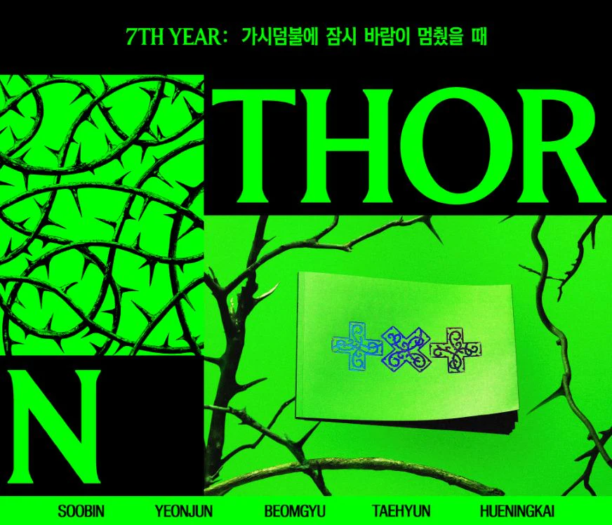 TXT - 7TH YEAR: WHEN THE WIND PAUSED AMONG THE THORNS (THORN VER.) - Image 2